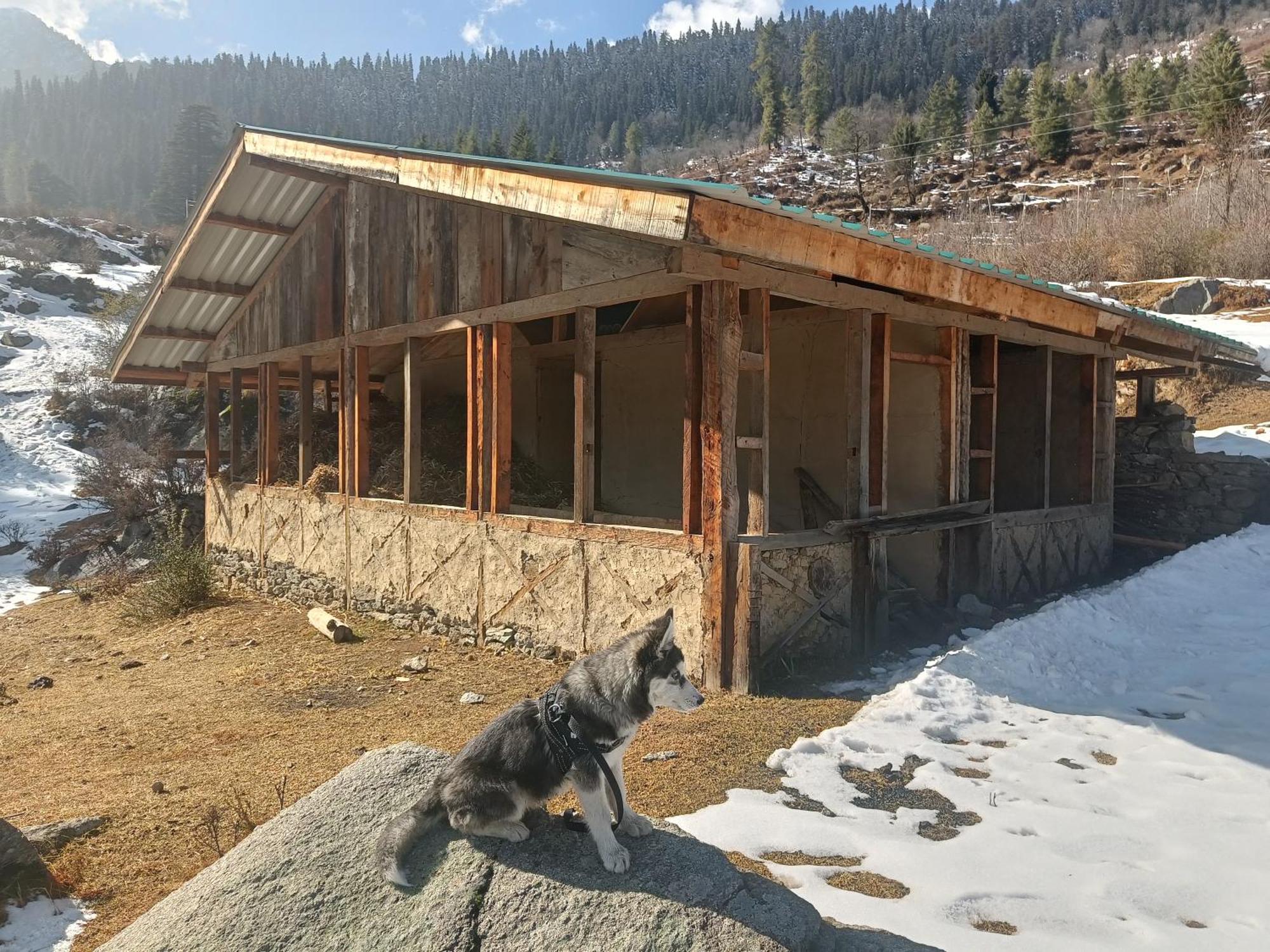 Trimounts-A Boutique Hotel & Wellnes Center In Tirthan Valley Banjar Exterior photo