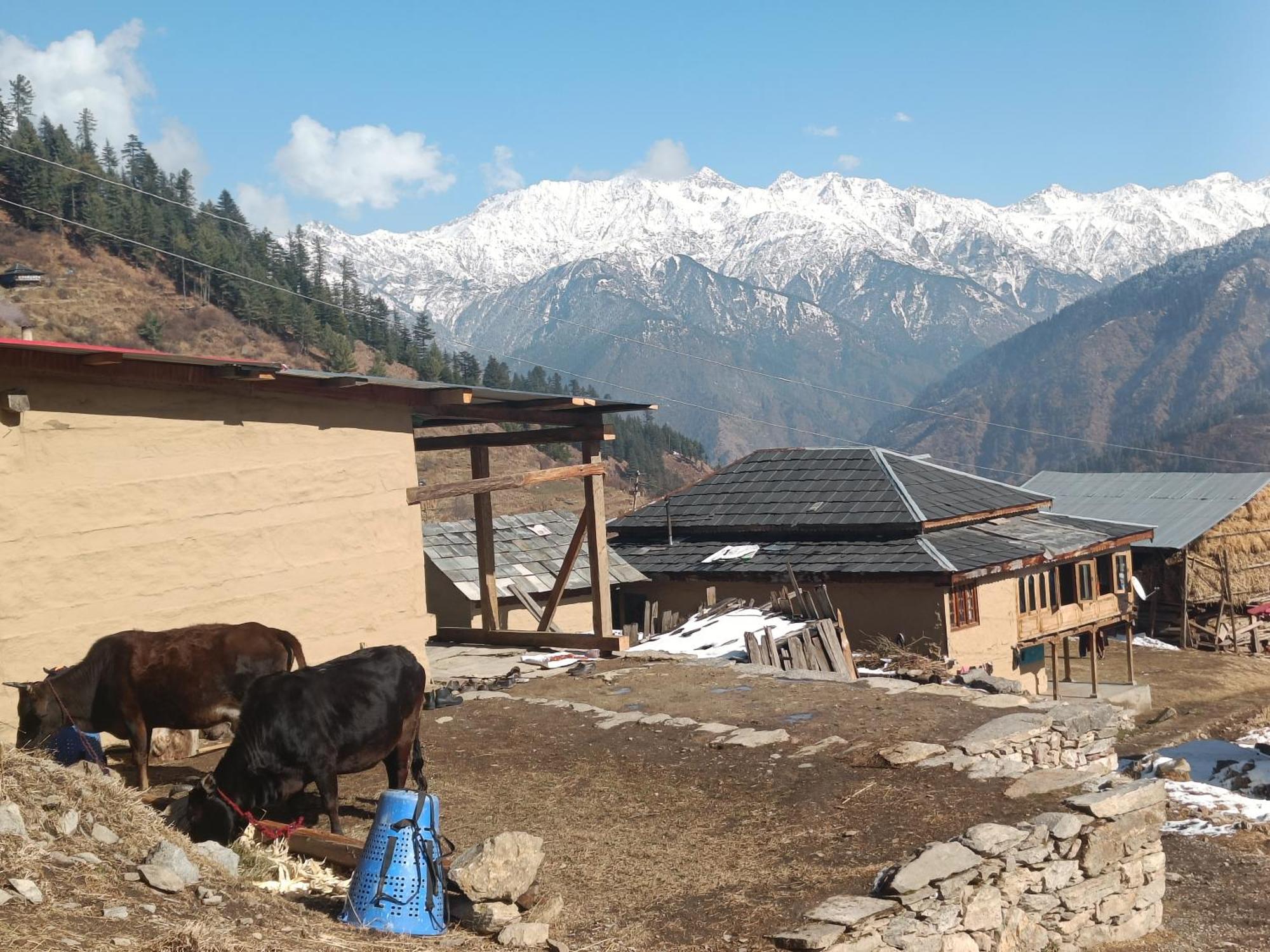 Trimounts-A Boutique Hotel & Wellnes Center In Tirthan Valley Banjar Exterior photo
