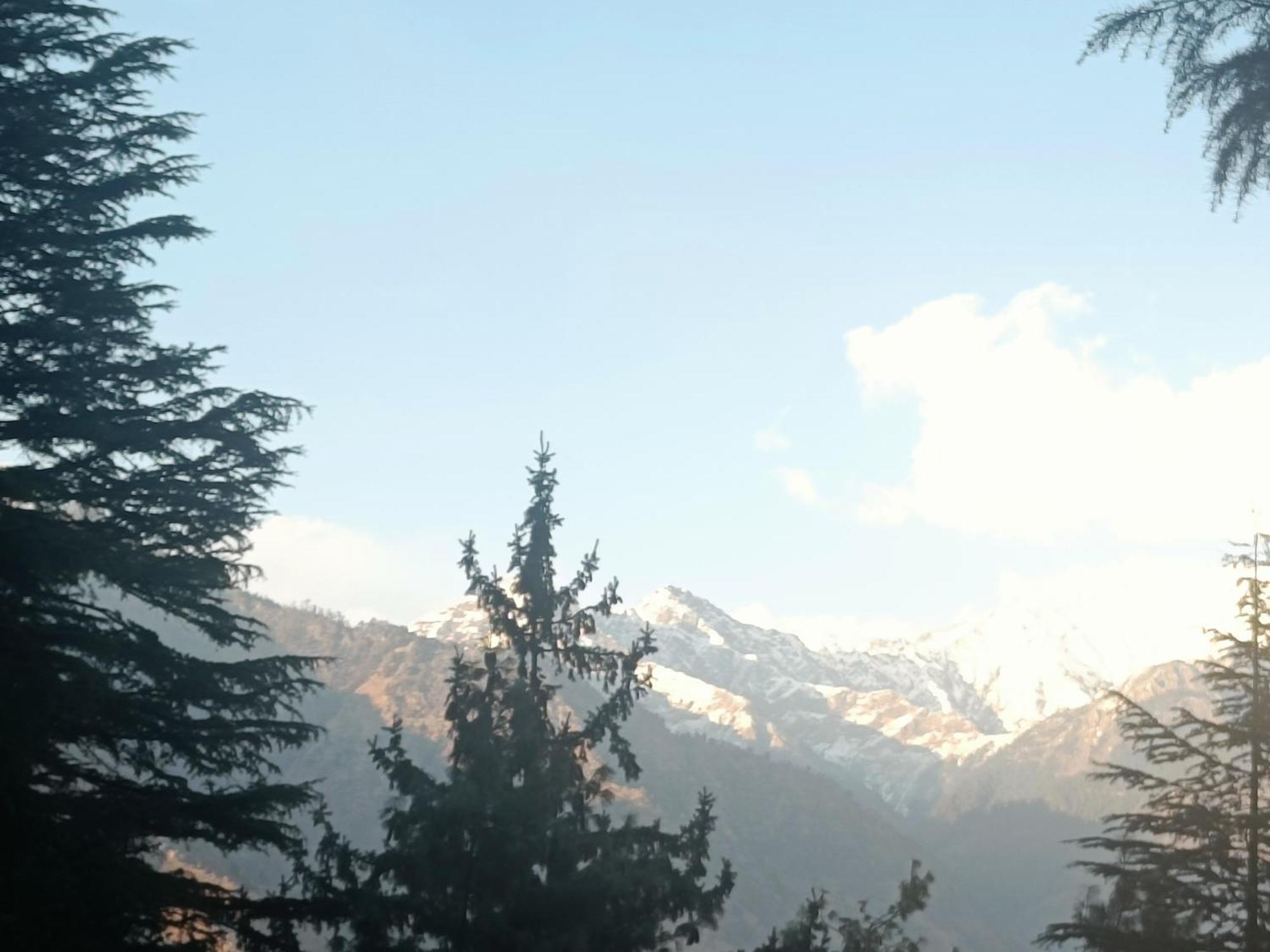 Trimounts-A Boutique Hotel & Wellnes Center In Tirthan Valley Banjar Exterior photo